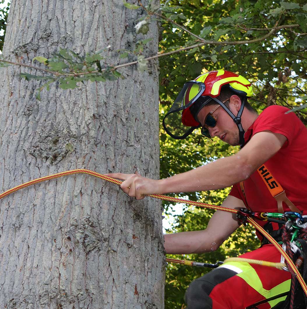Die Baumhelden führen eine fachgemäße Kontrolle Ihrer Bäume in Saarlouis und Umgebung durch.